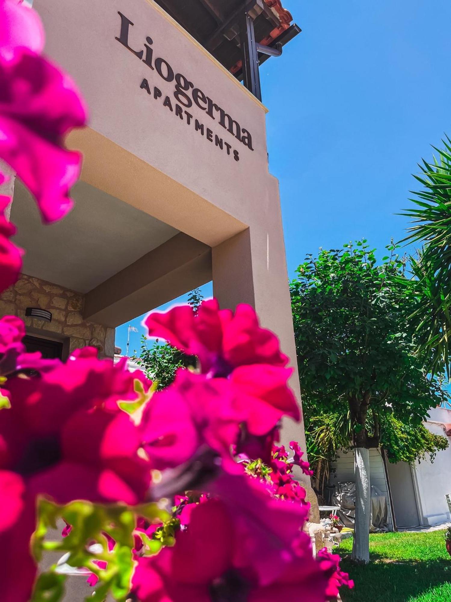 Liogerma Apartments Πευκοχώρι Εξωτερικό φωτογραφία
